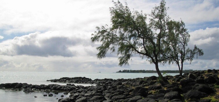 Retraite à L’île Maurice