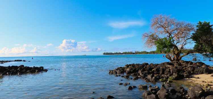 Snorkeling et baignade paisible