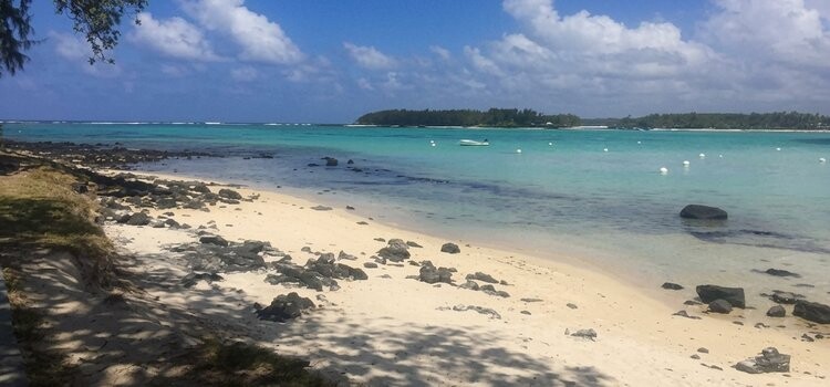 Plage de sable blanc de Blue Bay ombragée par les filaos, face au lagon turquoise de l’île Maurice