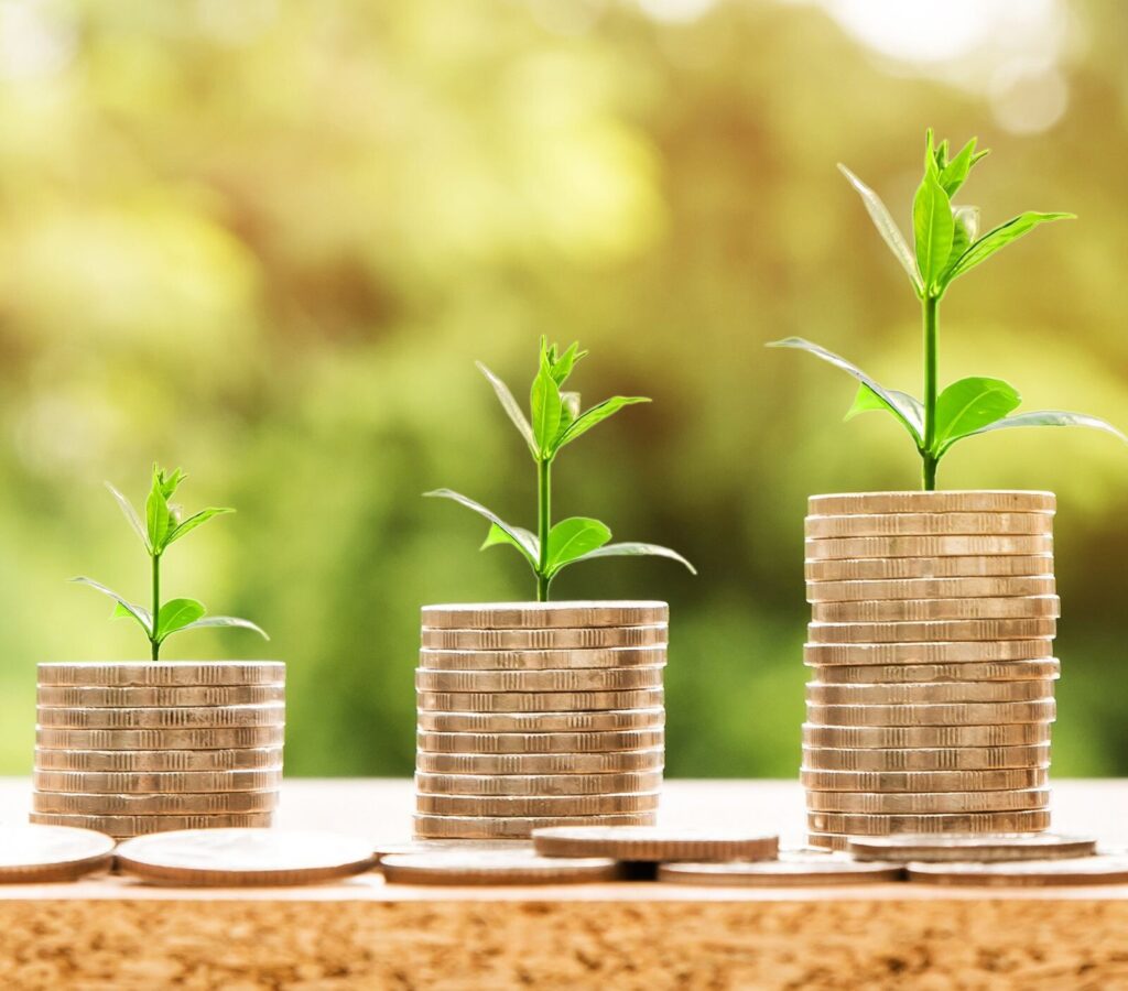 Piles de pièces surmontées de jeunes pousses, symbole de la plus-value d’un investissement locatif meublé
